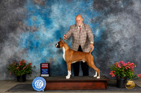 Boxer #11 Fri G2 Judge Wendy G Willhauck