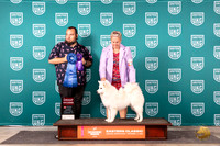 American Eskimo #138 G1 Sun Judge William Chrazanowski