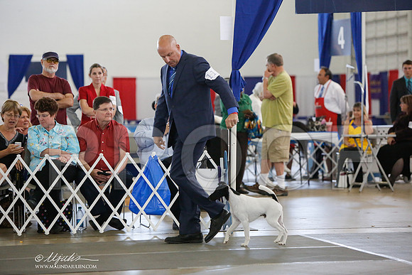 _JJ_2370-DalJul2014-HR3