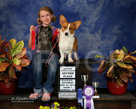 CorgiCW-8586-NormNov2013-HR