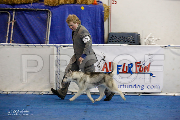 _M3_0480-AddisonHuskyMar2015-HR3