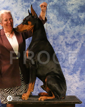 dobe-8187-MidFeb14-HR