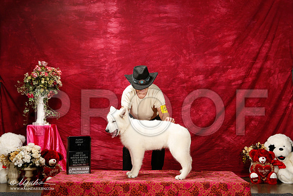 _ST_2894-2-BeltonJan2015IABCA-HR3
