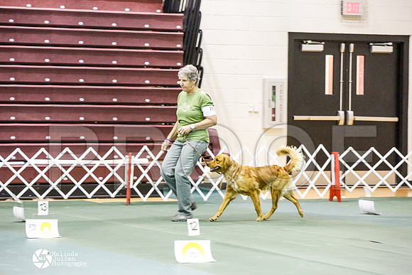 _JJ_3016-BsrCtyJun2014-HR3