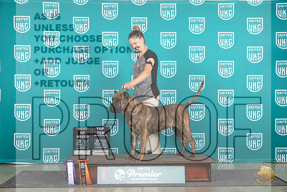 Presa Canario #542 Thur T10BOB FriBOB__JP_1627_Premier_2024_HR3
