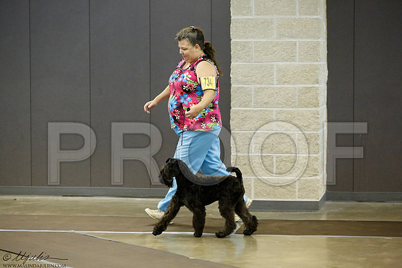 _J3L2077-BeltSep2014-HR