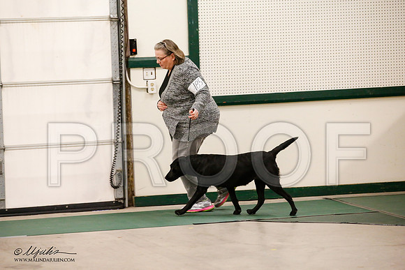 _JN_0912-NrmnNov2014-HR3