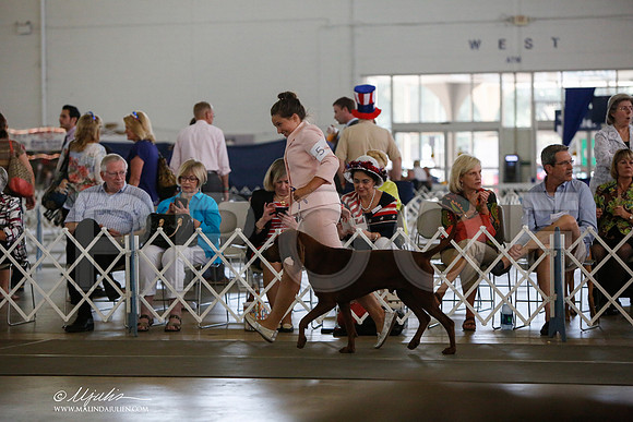 _JJ_2683-DallasJul2014-HR3