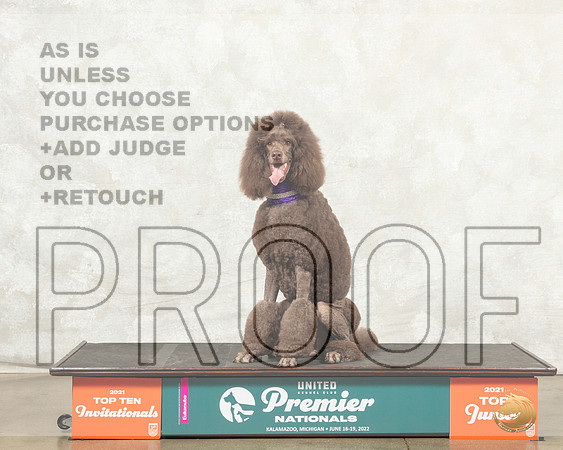 Poodle Std #150 Thur O4th Judge Maruerite Plank r__MJ_7515_Premier_2022_HR3