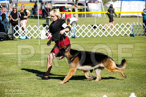_JJ_6198-AlamogordoOct2014-HR3