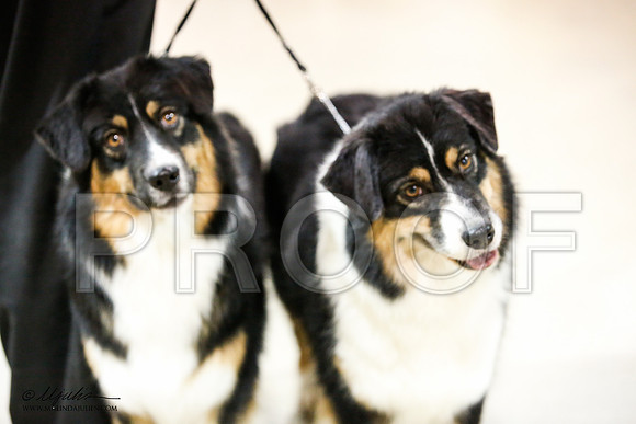 _JJ_1623-ASCACollegeStationNov2014-HR3