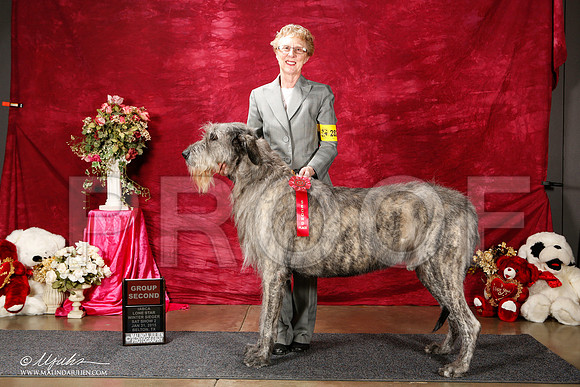 _ST_2582-2-BeltonJan2015IABCA-HR3