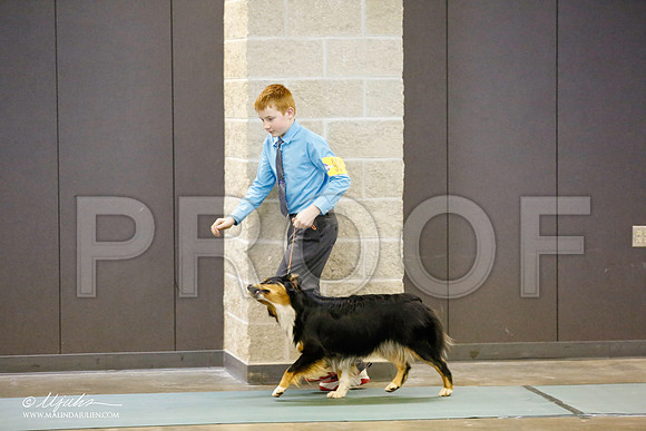 _RH_8749-BeltonJan2015-HR3