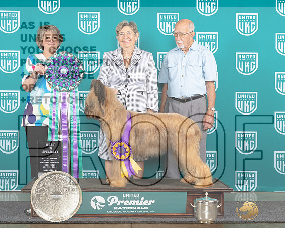 Briard #860 Wed BISS Judge Jennifer Landers_JP_1530e_Premier_2024-HR3