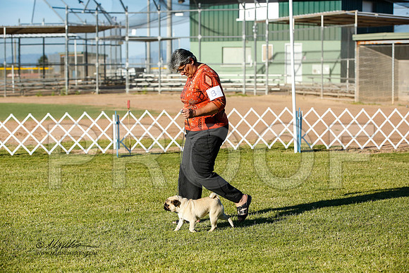 _JN_0210-AlamogordoOct2014-HR3