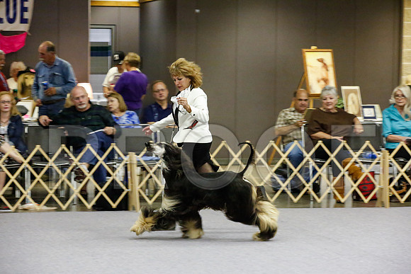 _JJ_8346-AfgBeltonOct2014-HR3