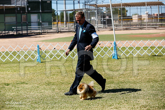 _JN_4931-AlamogordoOct2014-HR3