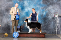 Australian Shepherd #9 Fri G1 Judge Jon Cole