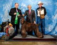 #11 Best BBE Wed Jaime Ganoza Judge David Frei AOM PD