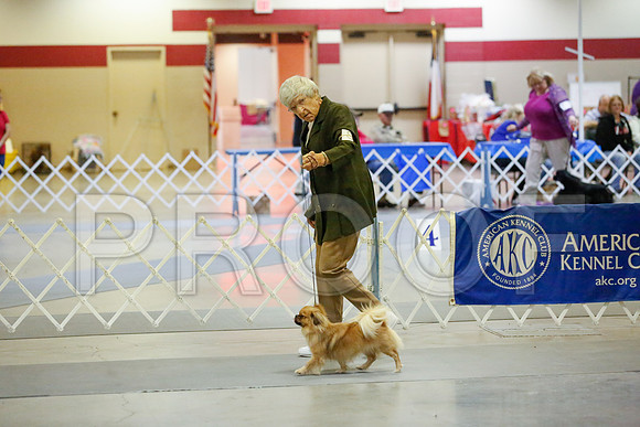 _JJ_8252-AmarilloSept2014-HR3