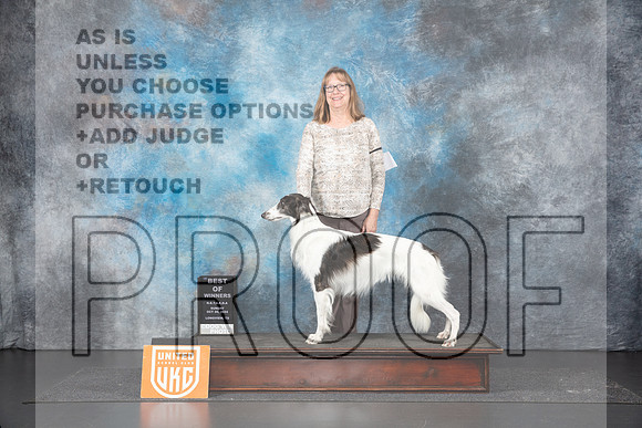 Silken Windhound #160 Sun BOW Judge Sandra Phillips r__JP_1429_UKCLNGVIEWOCT2024_2024_HR3