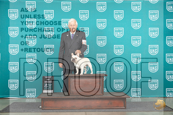 French Bulldog #1295 Fri BOB Judge Diane Price__JP_1549_Premier_2024_HR3