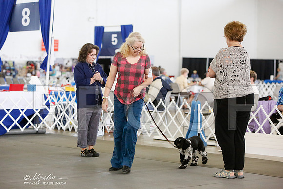 _JN_8635-DallasJul2014-HR3