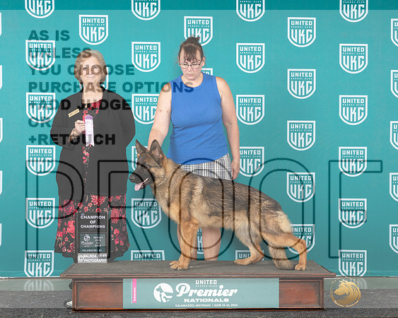 German Shepherd Dog #1047 Fri RCOC Judge Stan Matsumoto_JP_2801e_Premier_2024-HR3