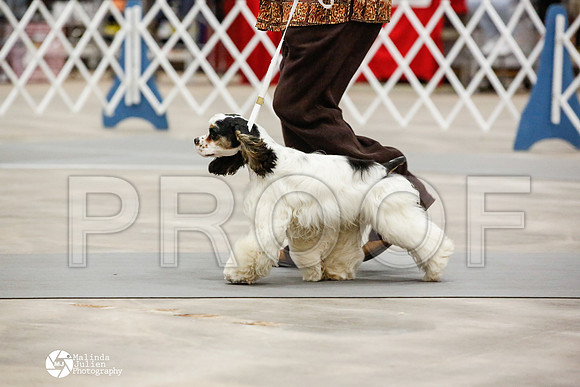 _JN_0873-AblnMay2014-web
