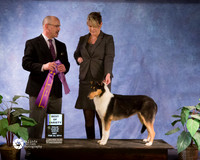Smooth Collie #74 Sat S1 BOV Retha Cable & Debbie Price & Kent Whites Judge Harry Schulman