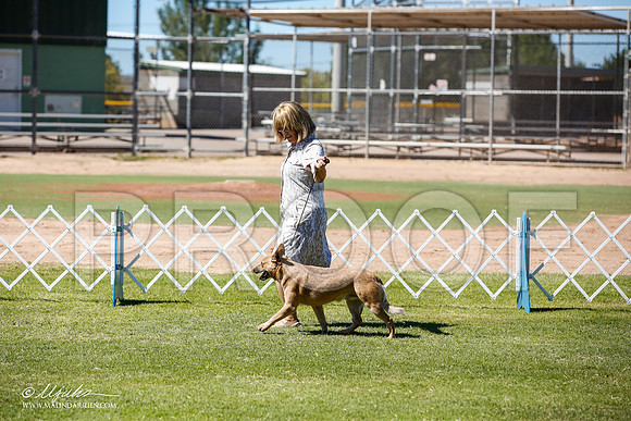 _JN_8896-AlamogordoOct2014-HR3
