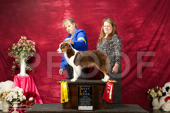 _ST_3014-BeltonJan2015IABCA-HR3