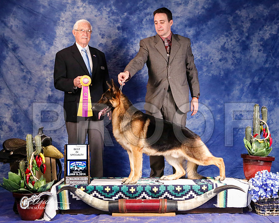 GSD-0387-GRJan14-HR