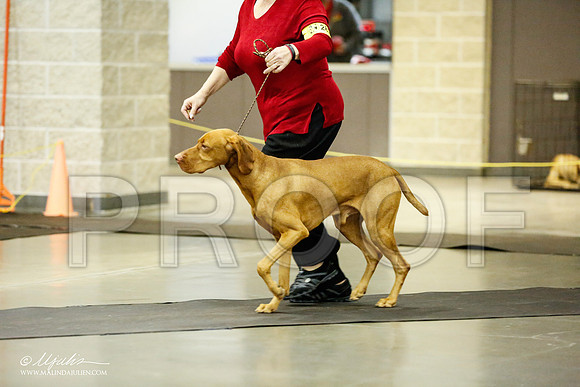 _RH_1186-BeltonJan2015IABCA-HR3
