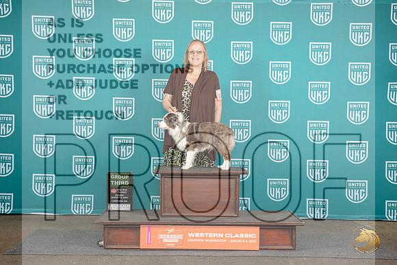 Miniature American Shepherd #184 Sat BOB G3 Judge Malinda Julien__JP_1673_Longview WA_2024_HR3