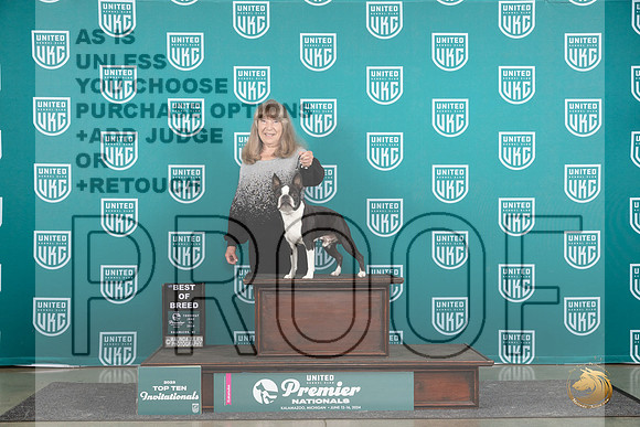 Boston Terrier #707 Thur T10BOB Judge Sharon Griffin__JP_0756_Premier_2024_HR3