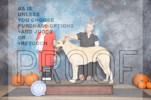 Anatolian Shepherd #7 Sun G4 Judge Jan Paulk__JP_9687_Humble_2024_HR3