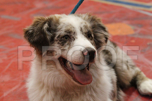 MJS_2773