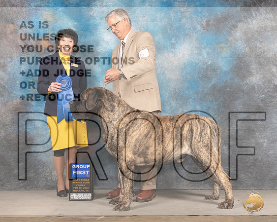 Mastiff #5 Fri G1 Judge Barbara AldermanMMJ_3315_Mdlnd2022_HR3