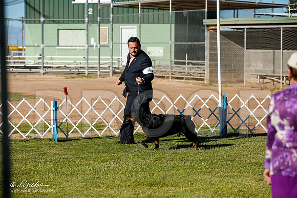 _JJ_8927-AlamogordoOct2014-HR3