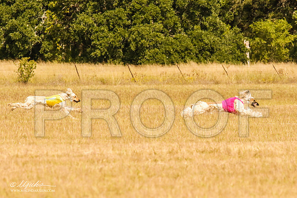 _MJ_5553-AfgBeltonOct2014-HR3
