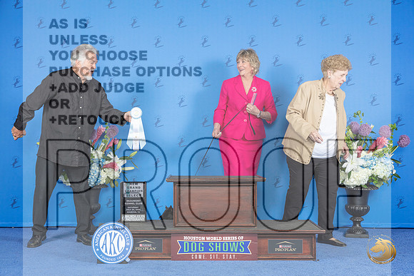 Scottish Terrier #30 SAT SB NGC Judge Nancy Liebes__JP_0026_Houston_2024_HR3