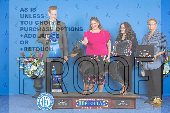 Doberman #46 FRI G1 Judge Ronald Freeman__JP_9413_Houston_2024_HR3