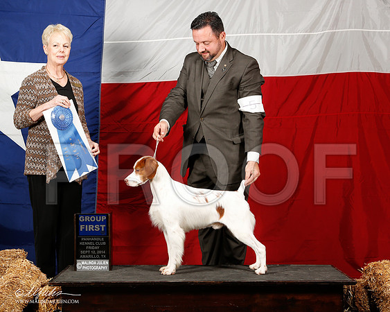 _ST_1559-2-AmarilloSep2014-HR3