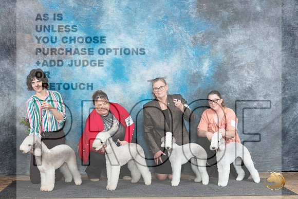 Bedlington Terrier Family Photo Sun__JP_0024_Abilene_2024_HR3