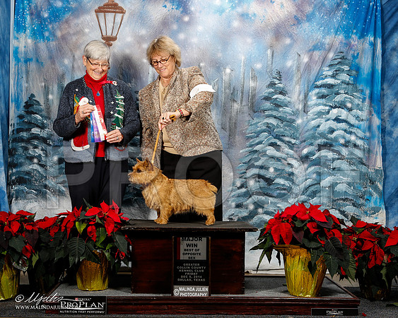 _ST_8140-2-DallasDec2014-HR3