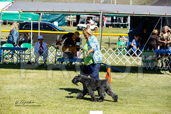 _JN_1112-AlamogordoOct2014-HR3