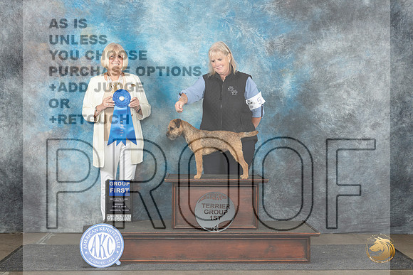 Border Terrier #5 Mon G1 Judge Debra Thornton__JP_4543_Lubbock_2024_HR3