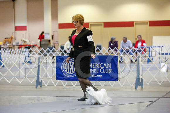 _JJ_1571-AmarilloSept2014-HR3
