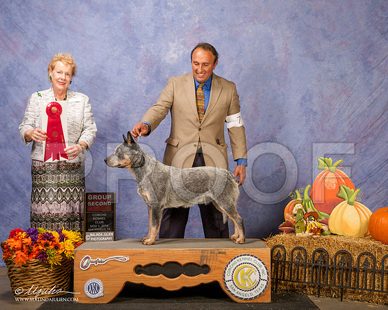 _CL_4555 - Version 2-SanAngelo2014-HR3